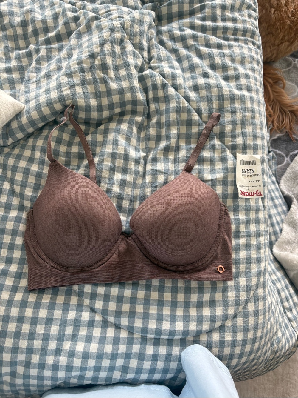 T.J.Maxx Women's Chocolate Brown Seamless Padded Bra